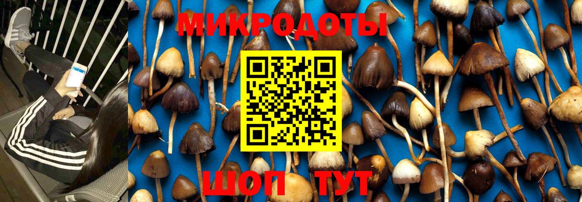 Псилоцибиновые грибы мицелий  Вход с VPN  Кизляр 