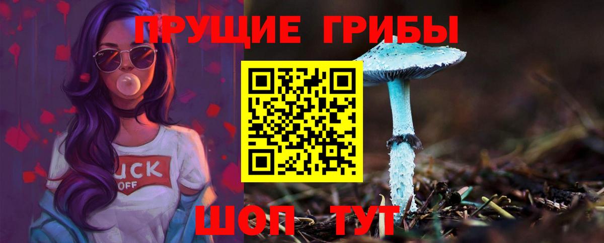 Псилоцибиновые грибы прущие грибы Кизляр